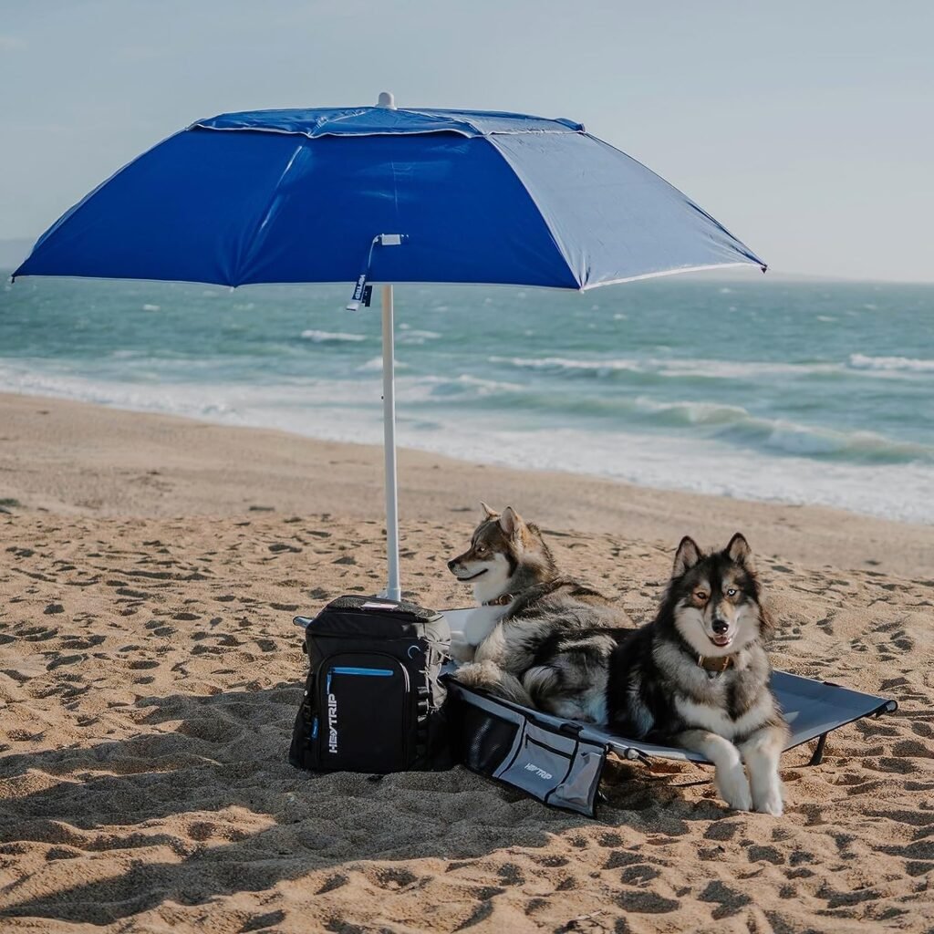 HEYTRIP 6.5FT Two-in-One Beach Umbrella with UPF 50+ UV Protection, Windproof Sand Anchor, Tilting Plole and Air Vent, Double Mode to Switch Between Sun Shelter and Umbrella