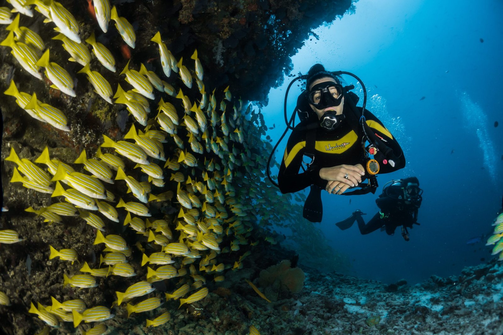 What Are The Best Spots For Diving In Phuket Island?