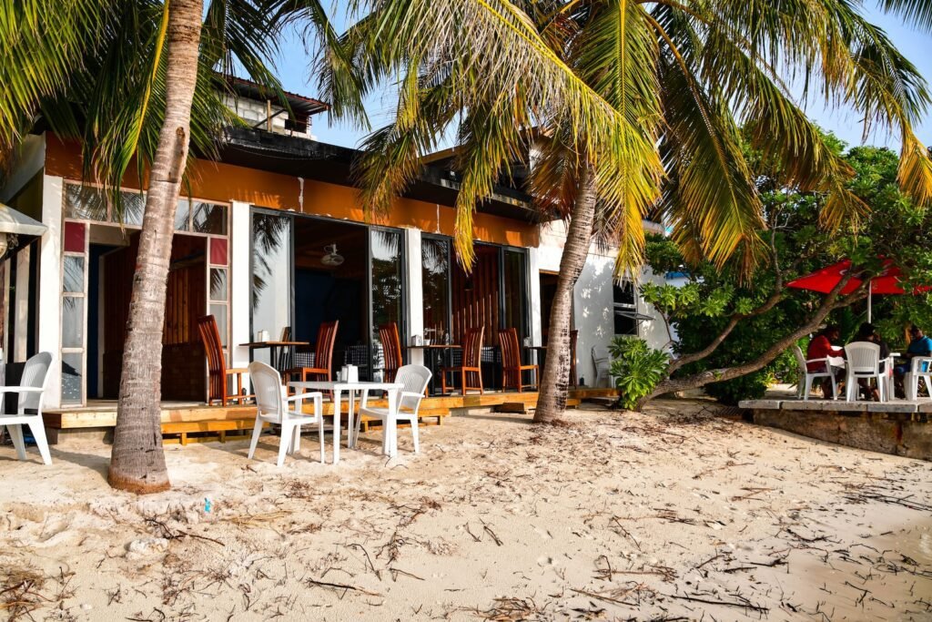 a beach side restaurant with palm trees and chairs