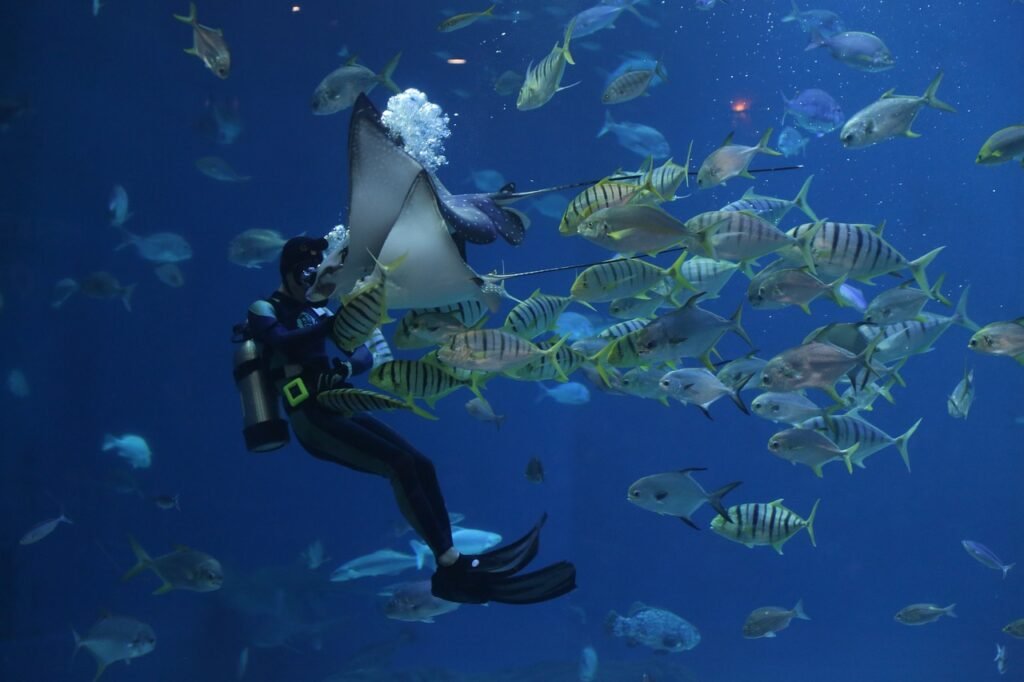 Can I Visit The Phuket Island Aquarium?